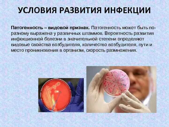 Условия возникновения инфекционных. Условия возникновения инфекции. условия возникновения инфекционного процесса. условия развития инфекционного заболевания. условия возникновения инфекционного заболевания.