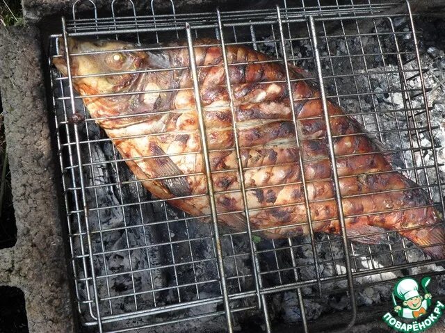 карп на решетке