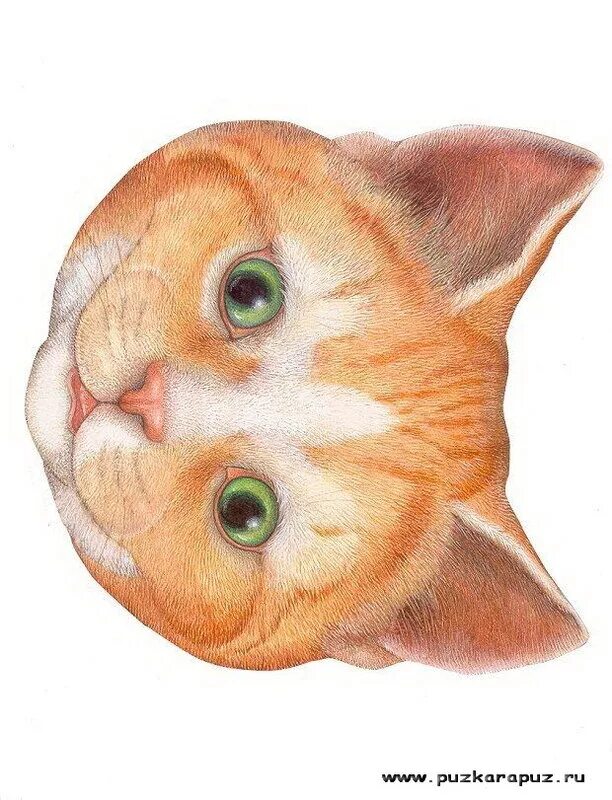 Маска рыжий кот. Мордочка котика для детей. маска с мордочкой кота. маска котенка для детей.