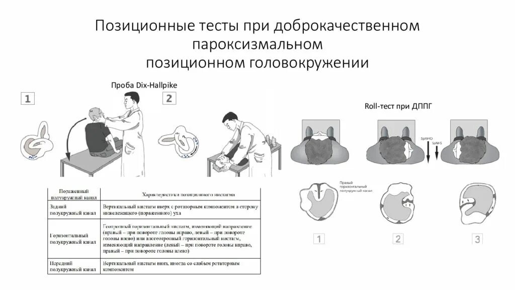 6 тестирование при