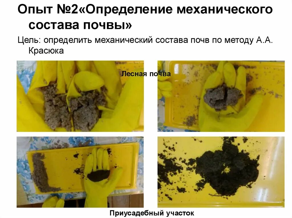 Методы определения механического состава почв. Фитотоксичность почвы. опыт по определению механического состава почвы. определение механического состава почвы лабораторная работа. определения механического состава почвы с помощью пенетрометра.