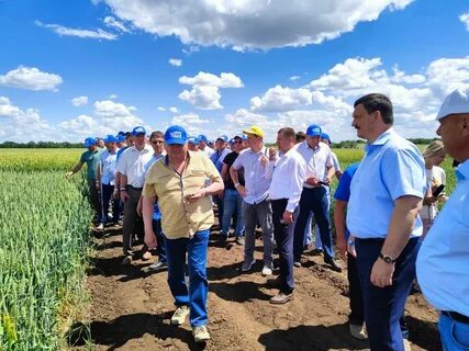 День волгоградского поля