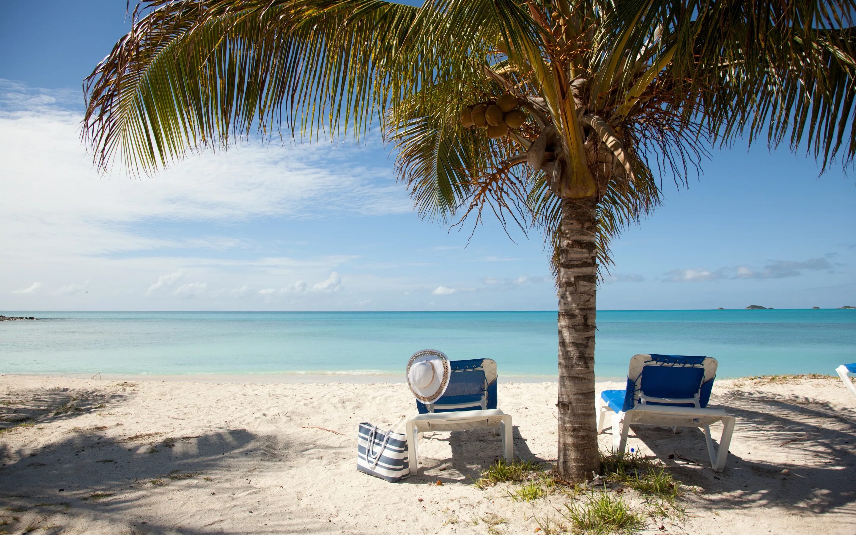 Barbuda Island ... wedding fit for princess on the island of Barbuda Destination