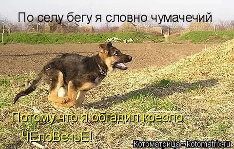 Иду по улице словно