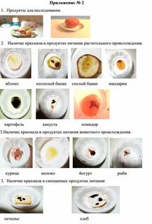 Исследование продуктов на содержание крахмала 3