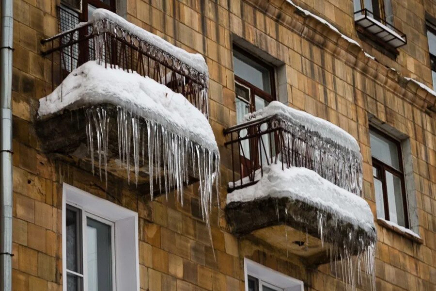 Как поступить с балконными растениями осенью Balcony plants, Winter balcony, Out
