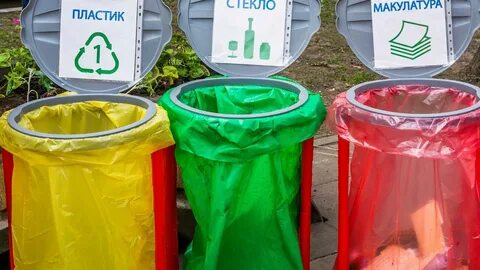 Раздельная сортировка отходов
