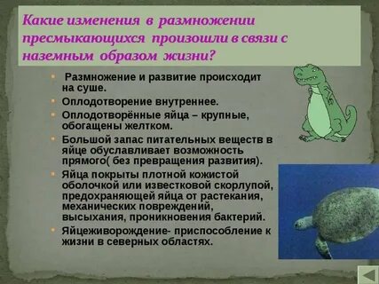Размножение и развитие земноводных и пресмыкающихся