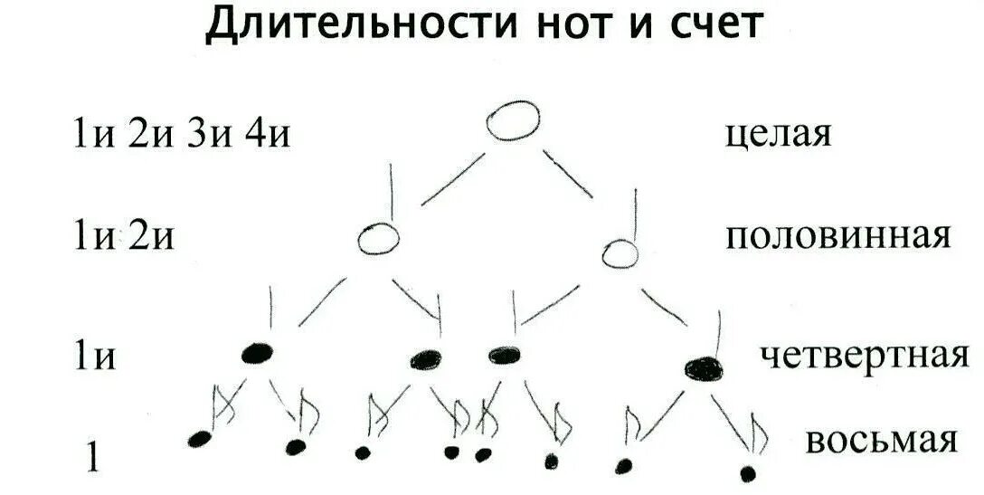 Почему 13 нот. Длительности нот таблица. Чхема длительеостей еоь. Нотные длительности схема. Как считаются длительности нот.