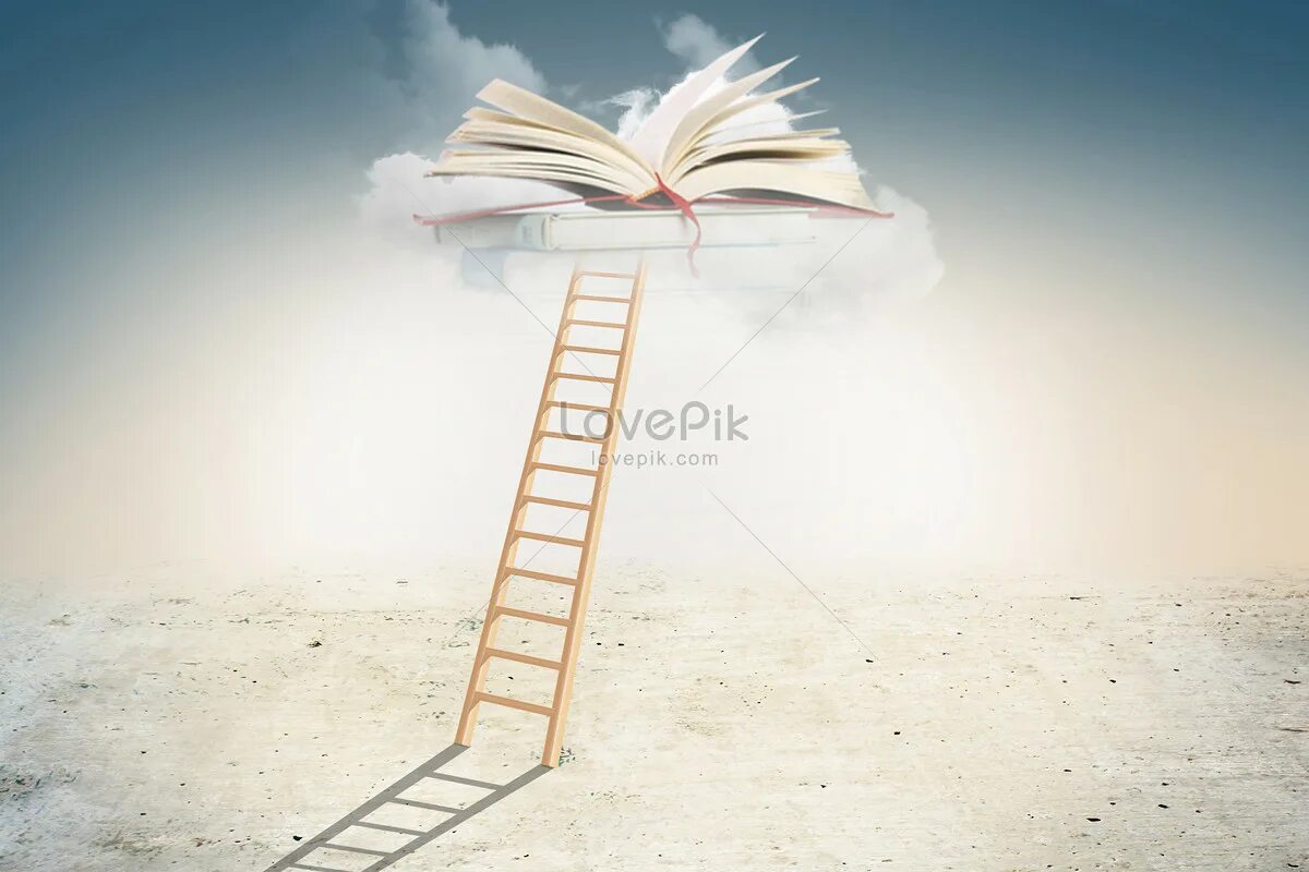 Literacy перевод. Read the ladder. Hart's ladder. Описать программу на ladder. Word ladder.