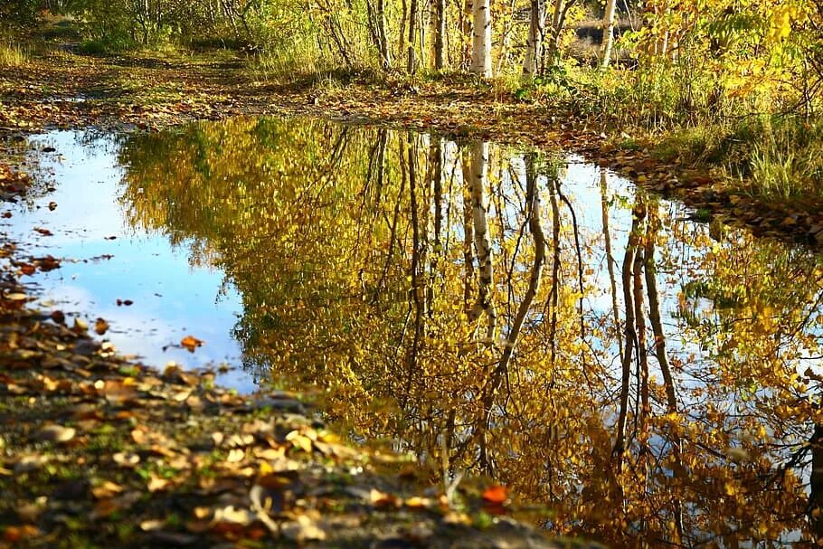 Золотая осень. Бабье лето. Осень дождь любовь. Девушка осень. Стихи про осень.