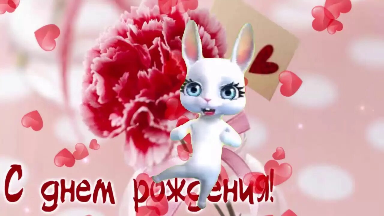 Прикольные видео с днем рождения для ватсапа. Полина с днюшкой прикольные. Стикеры для ватсап с днем рождения. С днём рождения женщине зайка zoobe. Поздравления с днём рождения женщине с зайкой.