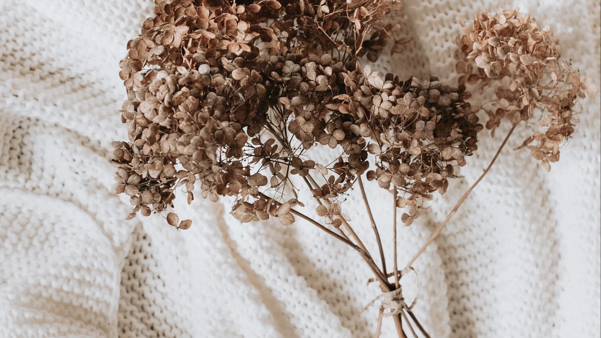 Зверобой трава засушенная. Продукты магазинные список. Зверобой продырявленный сырье. Веточка сухого растения. Исключительно сухие.