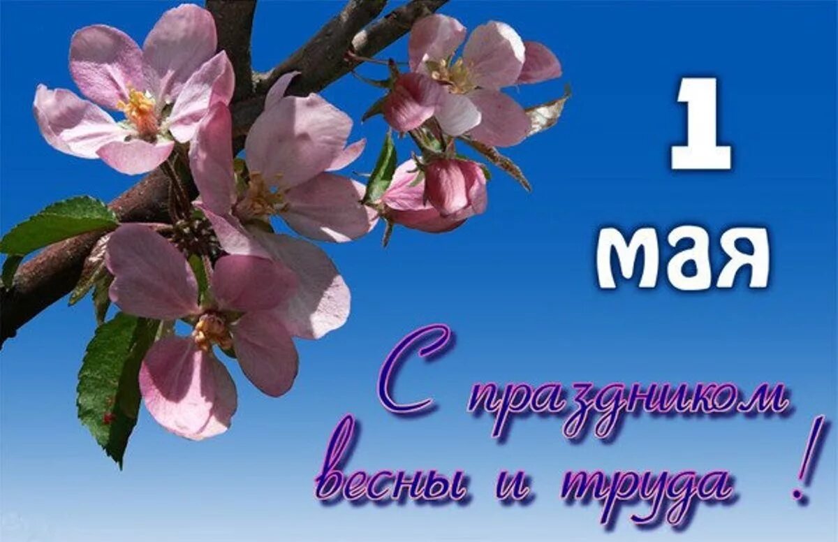 Официальное название 1 мая. 1 Мая. 1 Мая праздник весны и труда. 1 Мая картинки. 1 Мая праздник.