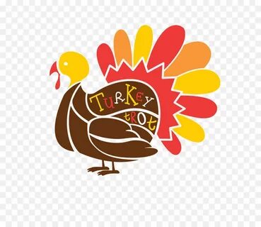 Turkey thanksgiving day