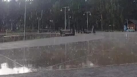 Дождь пеленой наполнил