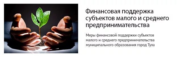 Система финансовой поддержки. Финансовая поддержка малого и среднего предпринимательства. Меры финансовой поддержки предпринимательства. Финансовая поддержка субъектов МСП. Государственная поддержка предпринимательства.