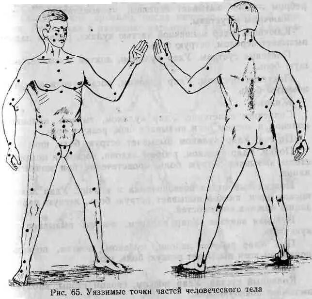 Уязвимые болевые точки на теле человека. Слабые точки человека. Самые больные точки человека. Самые уязвимые точки человеческого тела.