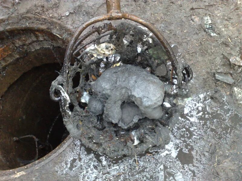 Белые червяки в колодце. Что находят в колодцах. Деревянная шахта колодца. Что находят в колодцах. Колодец с нефтью.