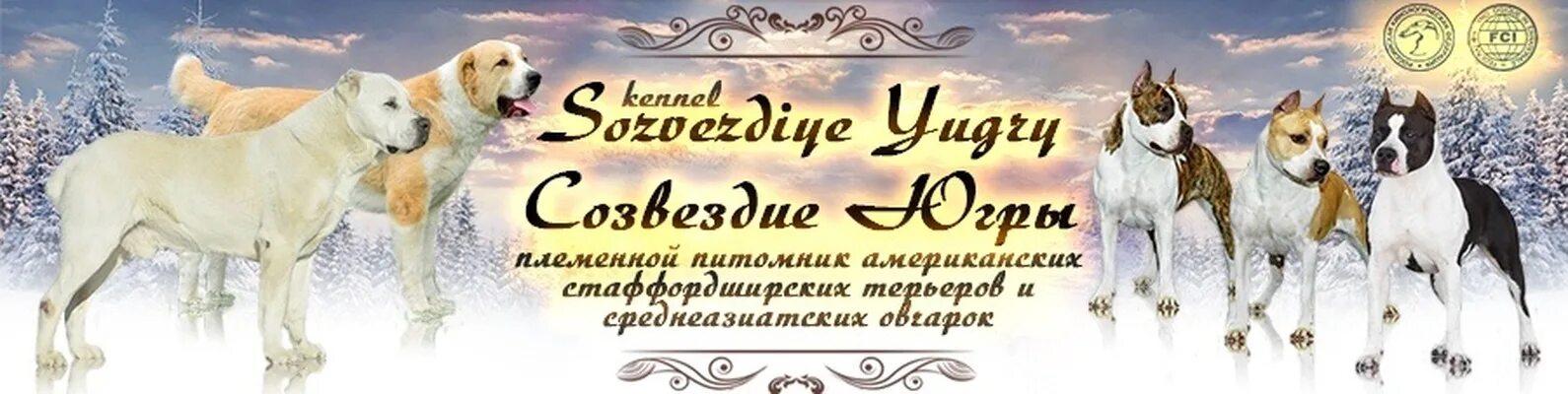 Созвездием питомник. Созвездие алабаев питомник. Питомник собак в Нягани. Созвездие Югры Тимир Хан. Логотип питомника американских булли.