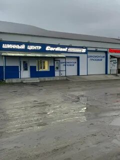 Профессионал новосибирск