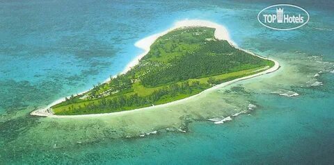 Bird island