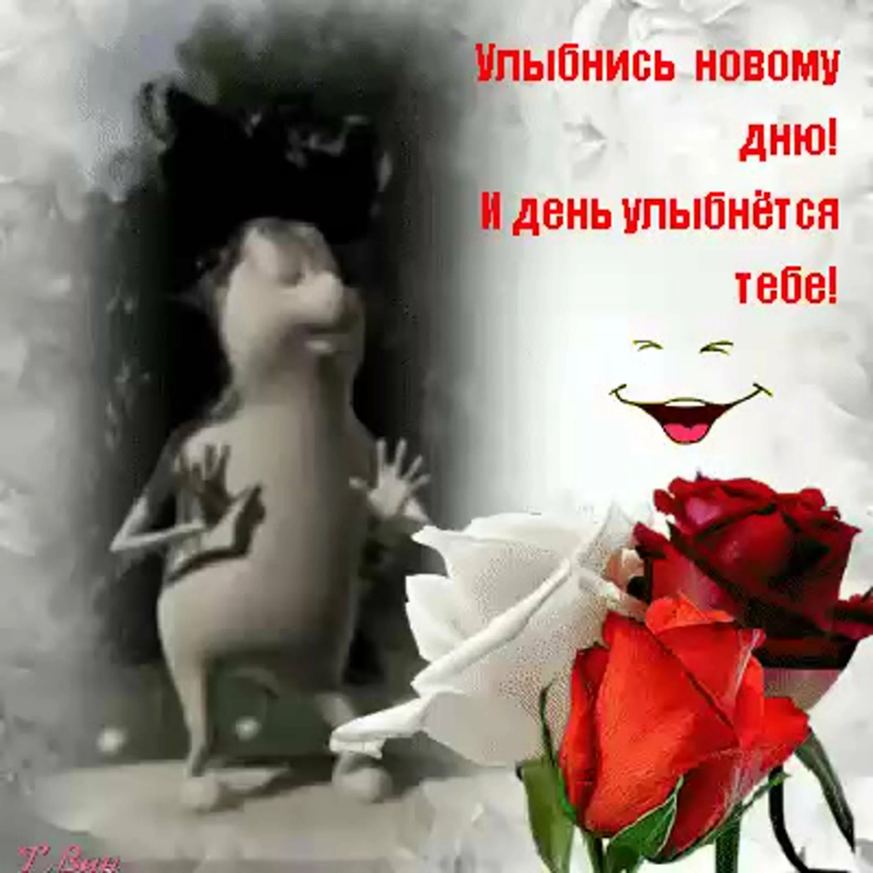 Хочу чтобы ты всегда улыбалась