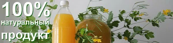 Показать растение чистотел. Сыворотка болотова на чистотеле. Чистотел на сыворотке по болотову. Квас болотова на чистотеле. Квас на чистотеле по болотову.
