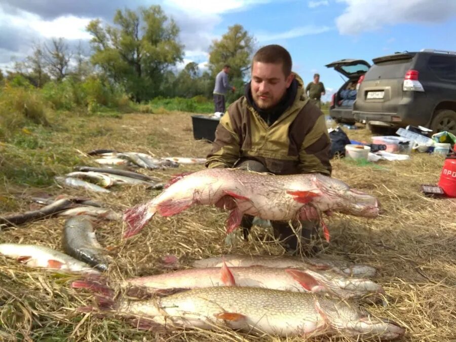 Клев ишим. Рыбалка на Иртыше в Омске. Река Ишим рыбалка. Хищная рыба на Иртыше. Щука в Иртыше.