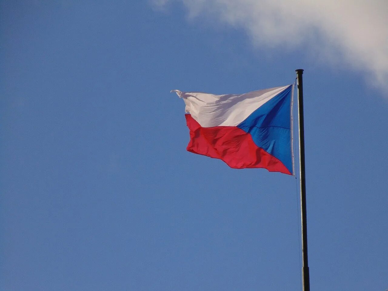 Флаг чехии. Флаг чехии