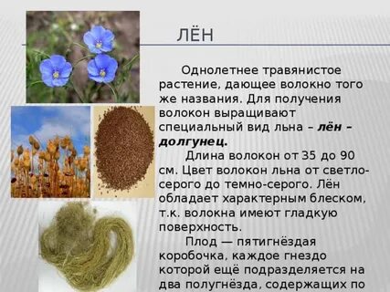 Лен какое культурное растение