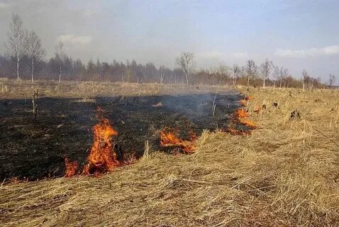 Возгорание сухой растительности