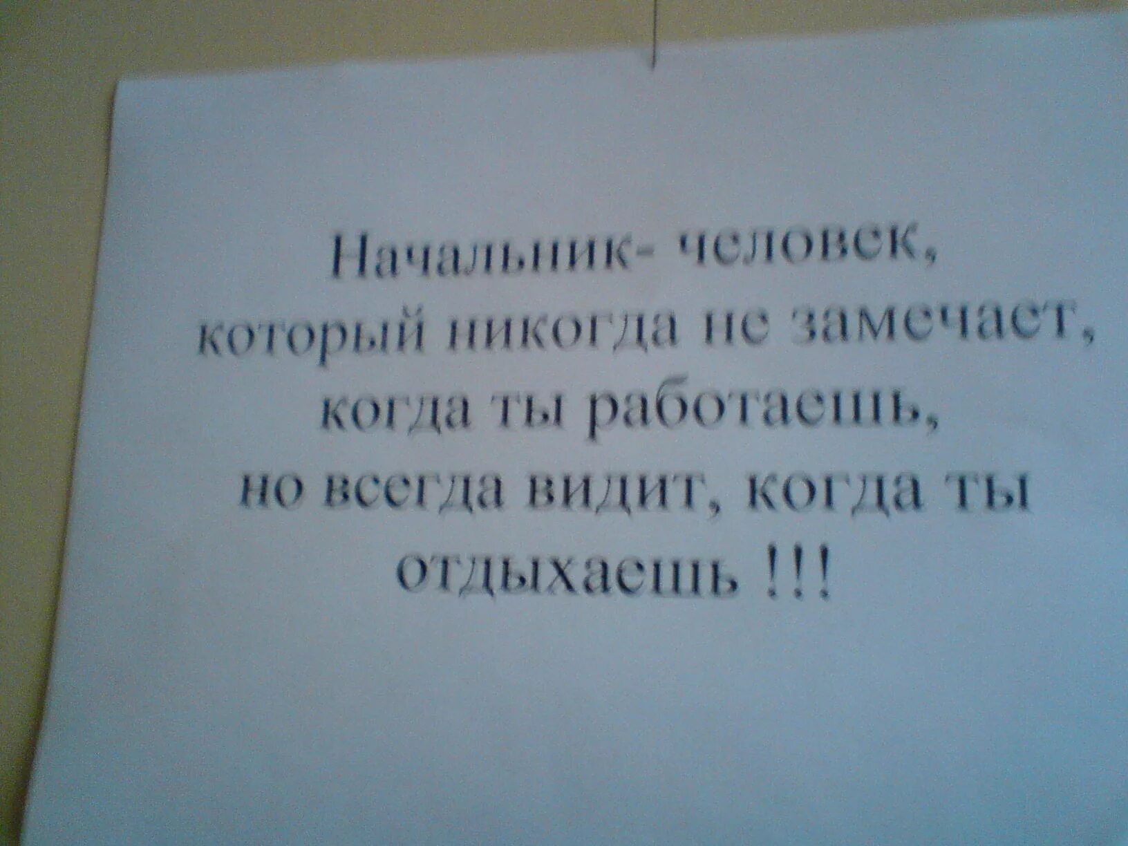 Начальник прикольные. Шутки про начальника. Шутки про начальство. Прикольные картинки про начальство. Напишут работаем видит