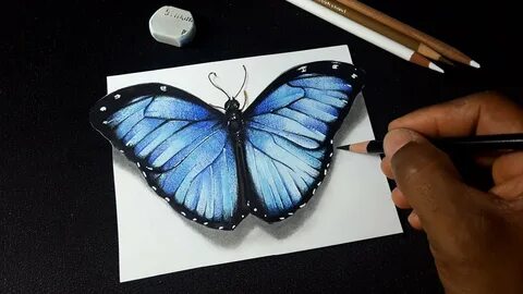 Рисунки 3 бабочки