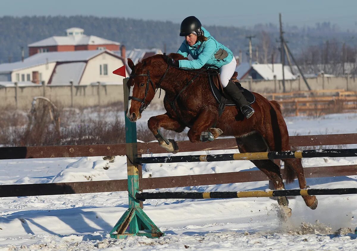 Троллейбусы. Экскурсия в контактный зоопарк. Иркутский детский зоопарк. Зоосад в иркутске. Контактной иркутск.