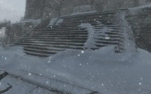 Snow d