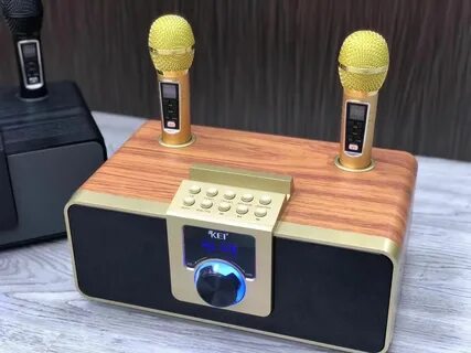 Караоке с двумя микрофонами