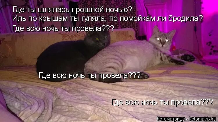 Он где то шляется с другой песня. Он где то шляется с другой песня