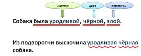 Неоднородные определения относятся непосредственно к главному слову