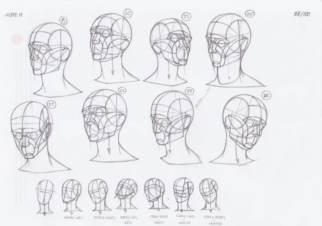 Head forms. Анатомия человека референс головы. Анатомия головы для рисования. Строение головы референс. Строение головы рисование.