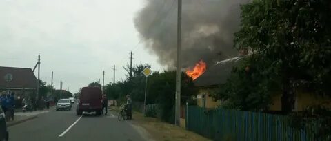 Береза горит