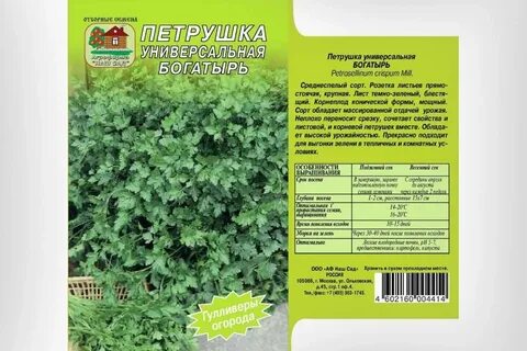 Сорт семян петрушки