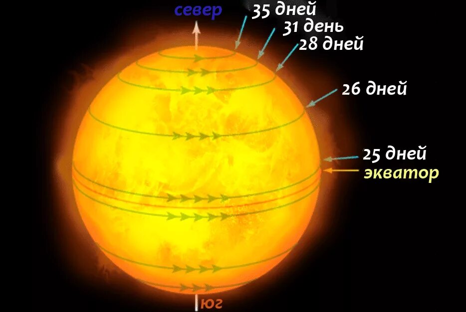 Вращение солнца. Солнце вращается вокруг своей оси. Вращение солнца вокруг оси. Вращение солнца вокруг своей. Направление планет вокруг своей оси