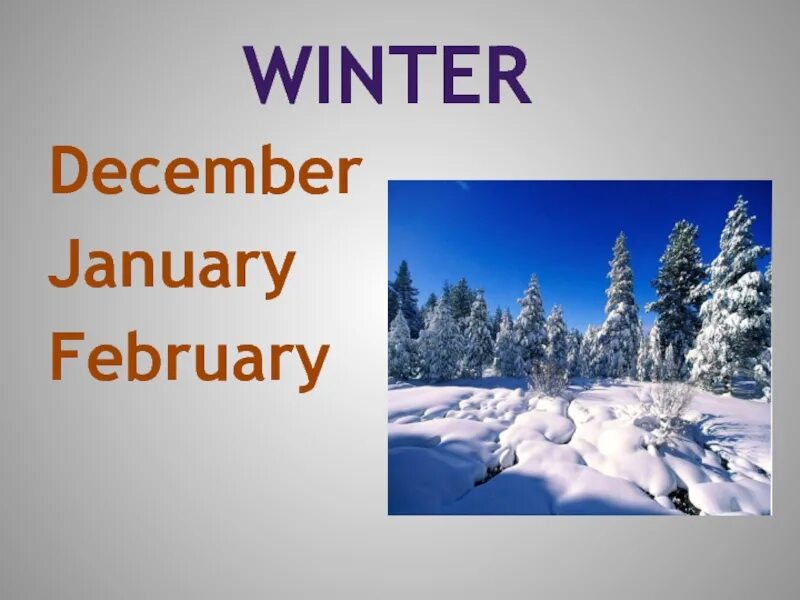 Презентация по английскому языку. Winter months. Winter december january february. Are december january and february winter months. Are december january and february winter months.