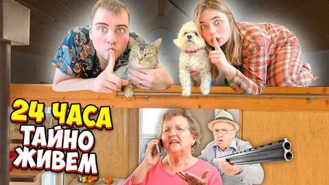 Ляпота тв 24 часа