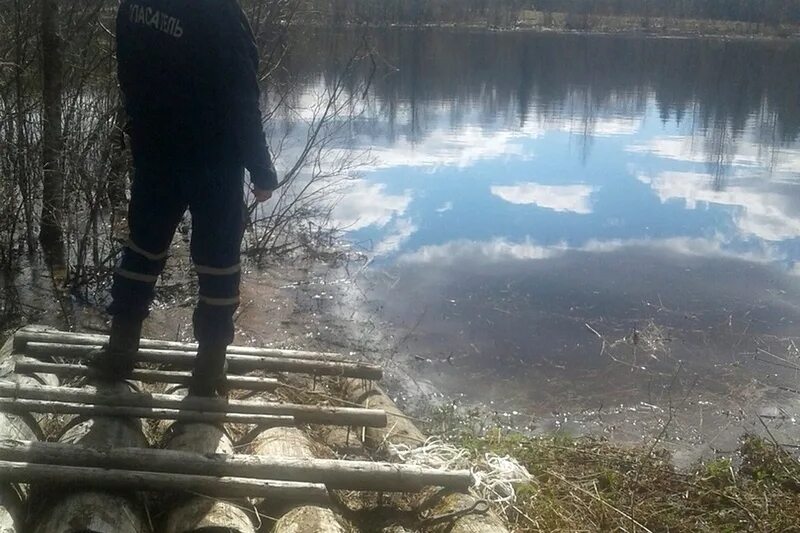 майна на льду. озера карелии. птицы на водохранилище в воронеже. мчс спасает рыбаков.