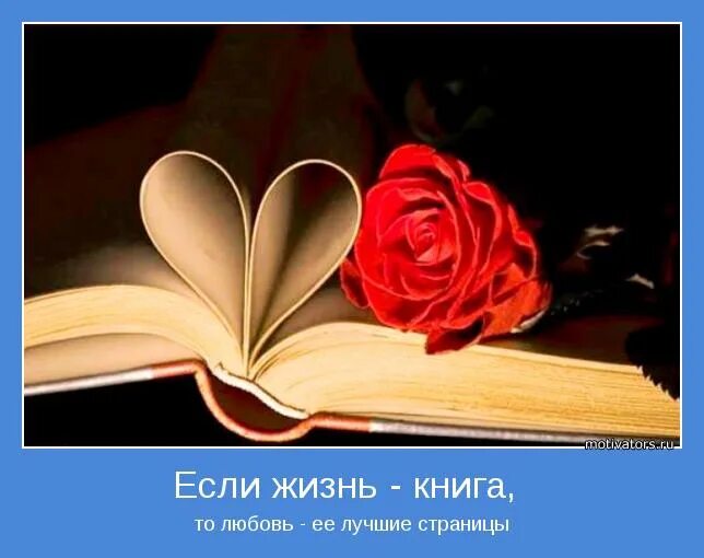 Книга как жить если у тебя. Красивые цитаты про книги. Цитата любовь это книга. Книга смысл жизни. Жизнь это книга цитаты.