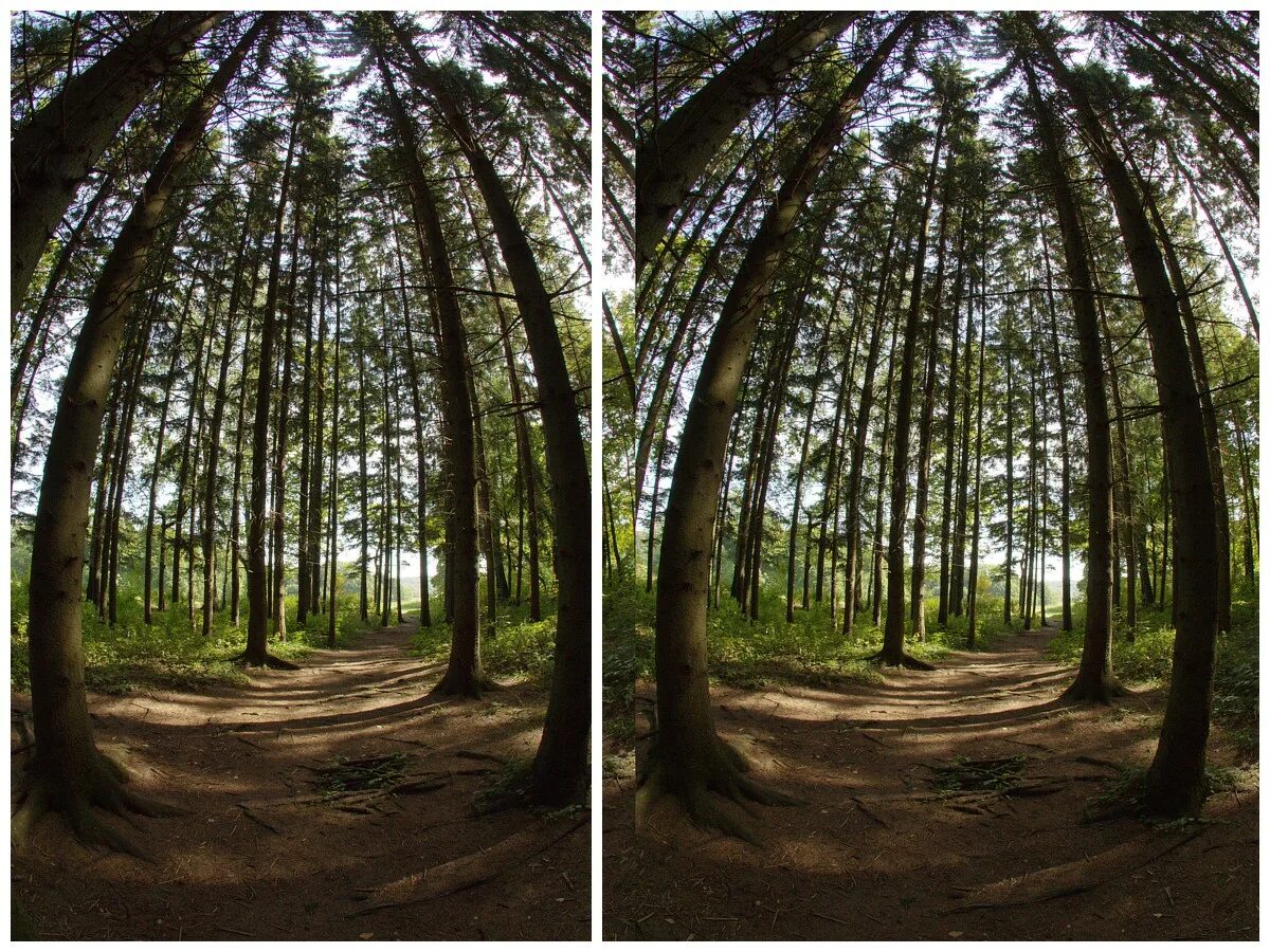 Стереоскопическая фотосъемка