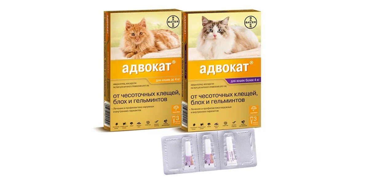 Адвокат кошки до 4. Адвокат капли для котят. Адвокат: капли для кошек от паразитов. Bayer адвокат капли для кошек до 4 кг 1 пипетка. Адвокат от глистов для кошек.