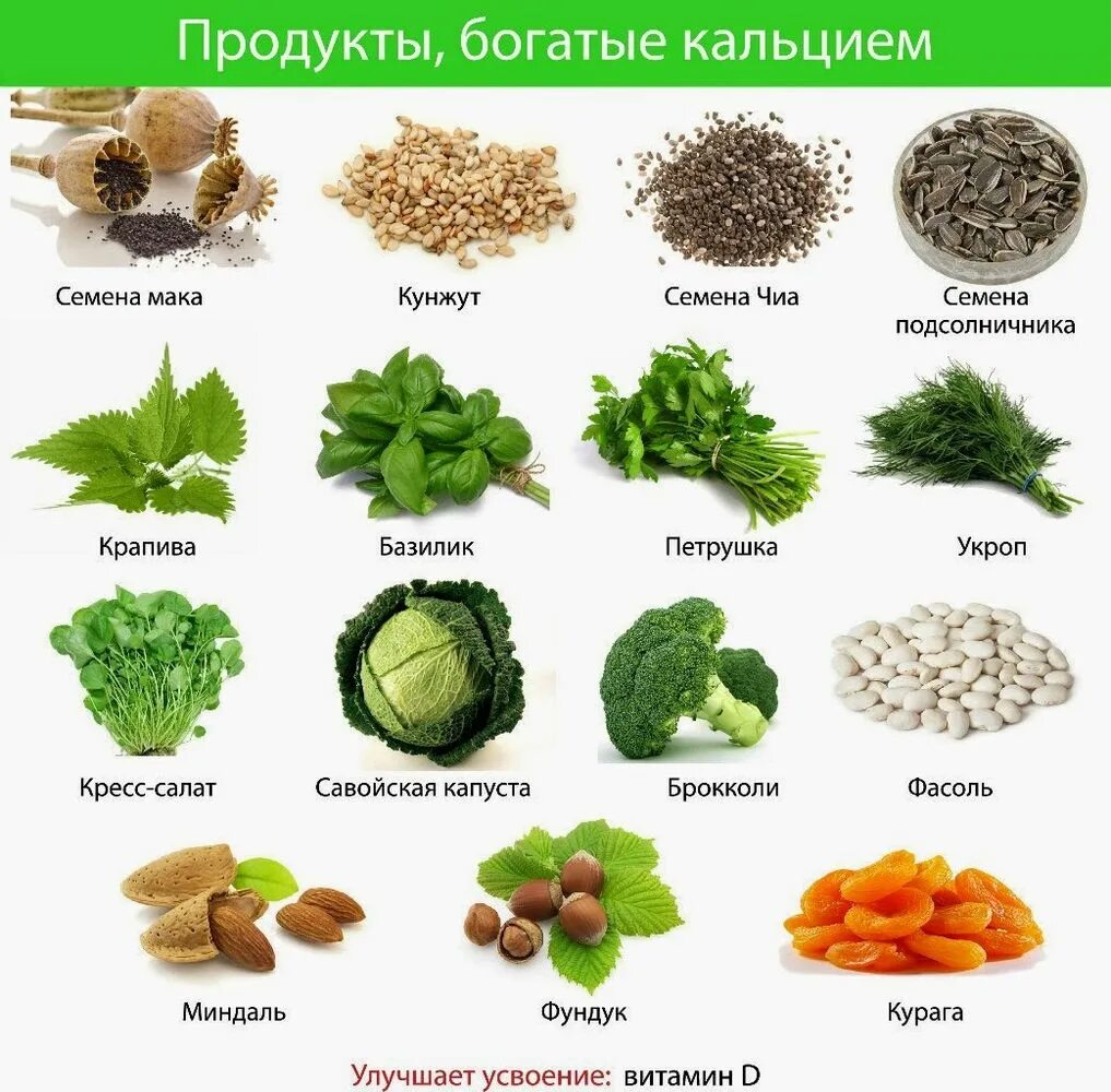 Наибольшее количество кальция содержат. Источник кальция в продуктах таблица. продукты кальций содержащие для костей. продукты богатые кальцием таблица для женщин. какие продукты богаты кальцием.